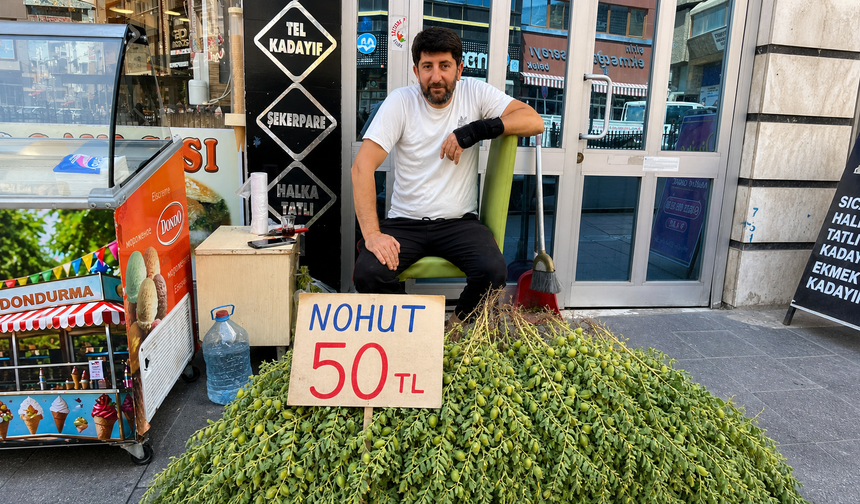 Nevşehir'de yeşil nohut sezonu başladı