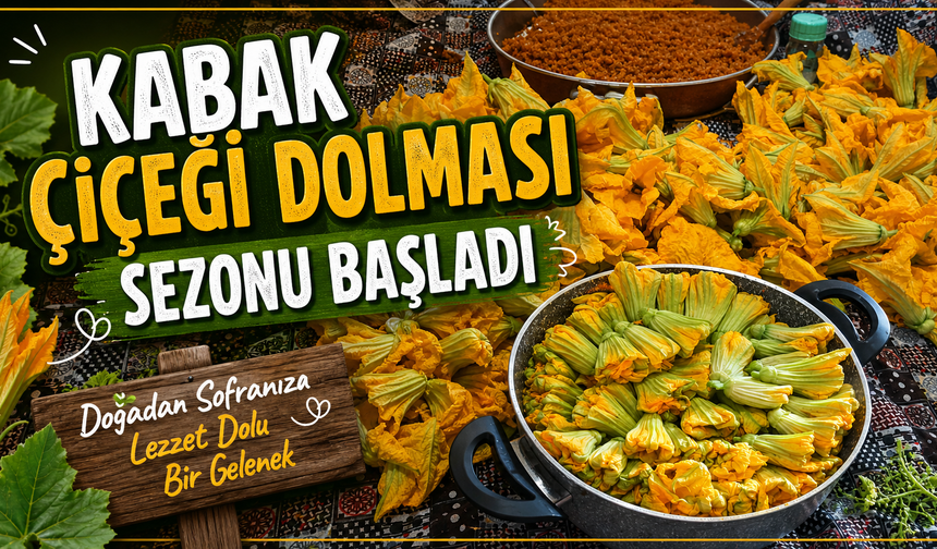 Kabak Çiçeği Dolması Sezonu Başladı