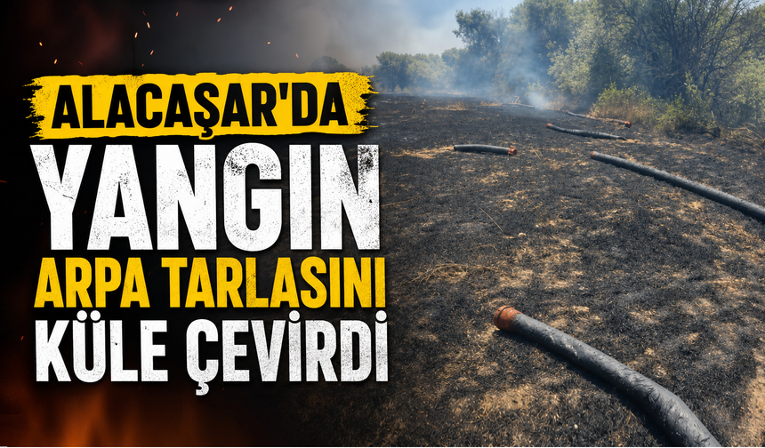 Alacaşar'da Yangın Arpa Tarlasını Küle Çevirdi