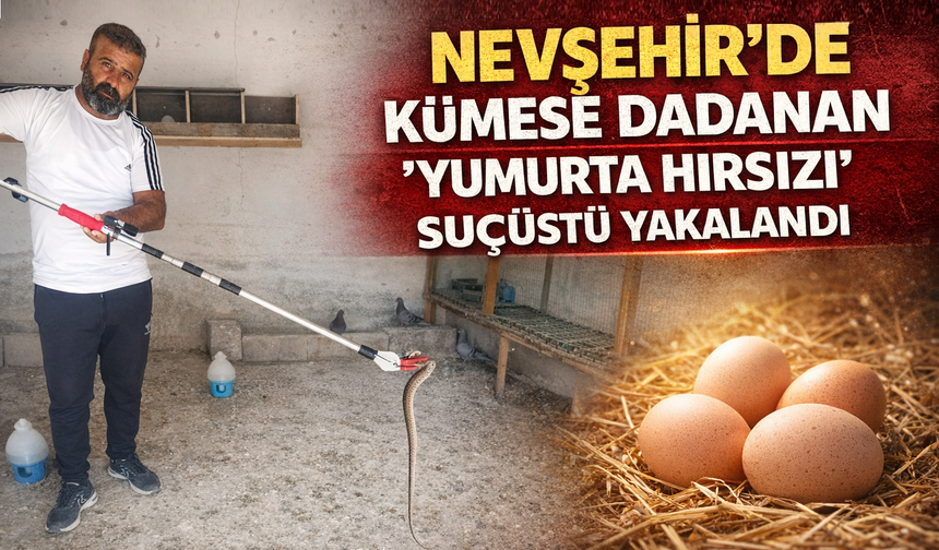 Nevşehir’de Kümes Hırsızı Suçüstü Yakalandı