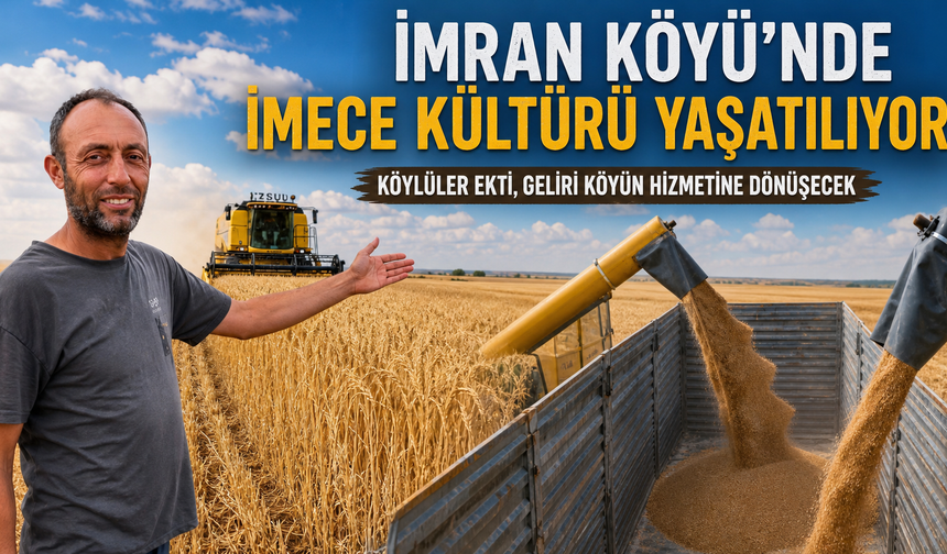 İmran Köyü'nde Dayanışma Hasada Dönüştü