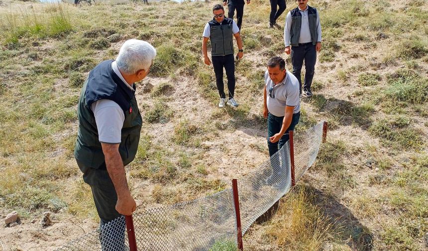 Kayseri Orman Bölge Müdürü Bayıcı, Nevşehir'de