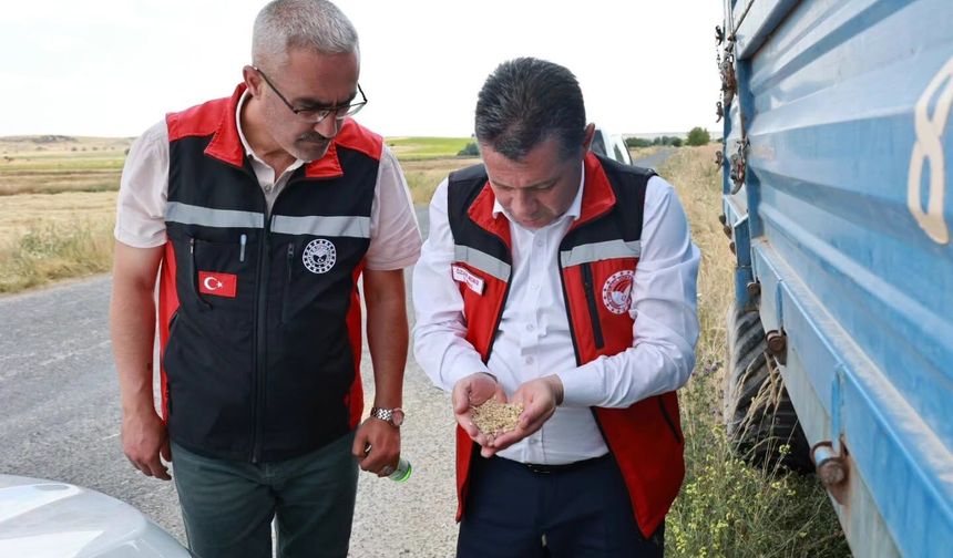 Gülşehir'de Arpa Hasadı Başladı