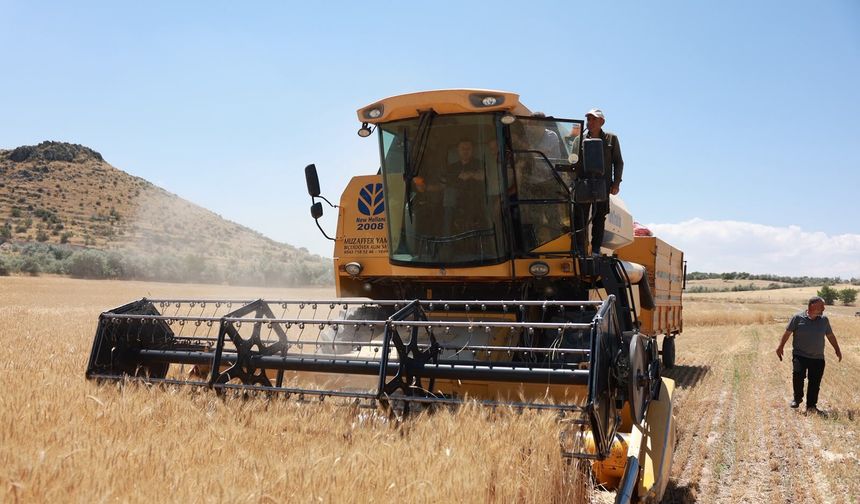 Başkan Arı Hasat Sevincine Ortak Oldu