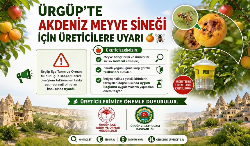 Ürgüp’te Akdeniz Meyve Sineği Alarmı! Üreticilere Uyarı