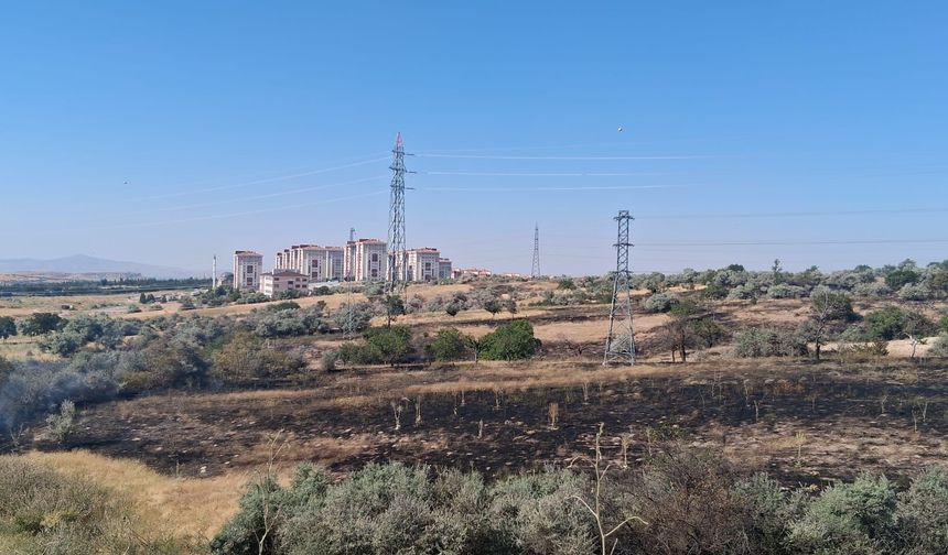 Göre'de Çıkan Yangın Geniş Alana Yayıldı