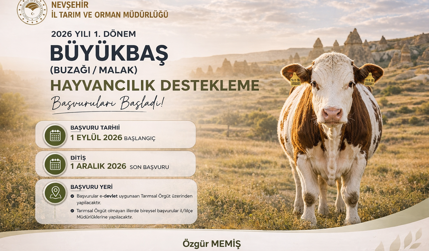 Nevşehir’de Büyükbaş Hayvancılık Destekleme Başvuruları Başladı