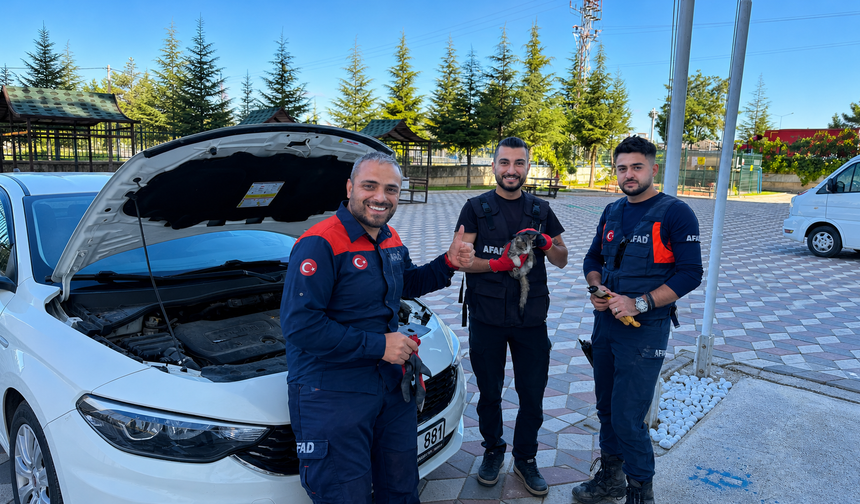 Nevşehir’de Kaputa Sıkışan Kedi Kurtarıldı