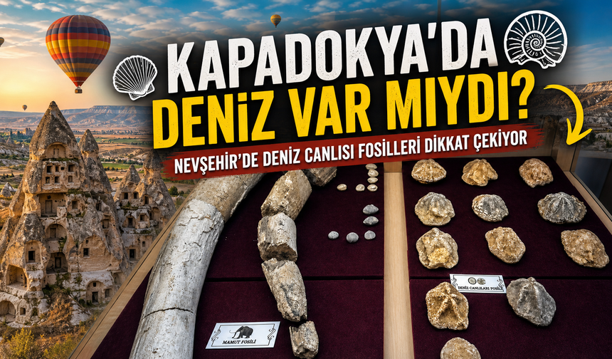Nevşehir’de deniz canlısı fosilleri şaşırtıyor