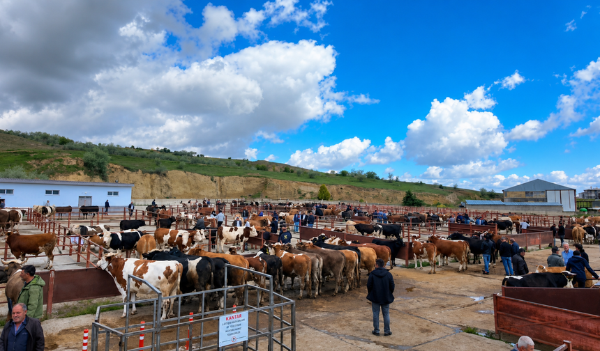 Nevşehir Hayvan Pazarı Geçici Olarak Kapatıldı