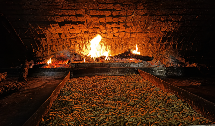 Nevşehir Kabak Çekirdeği Taş Fırına Girdi