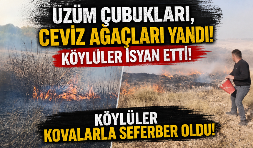 Üzüm Çubukları, Ceviz Ağaçları Yandı!