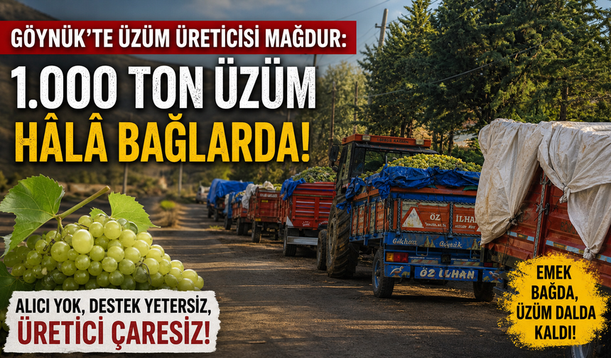Göynük’te üzüm üreticisinin endişeli bekleyişi