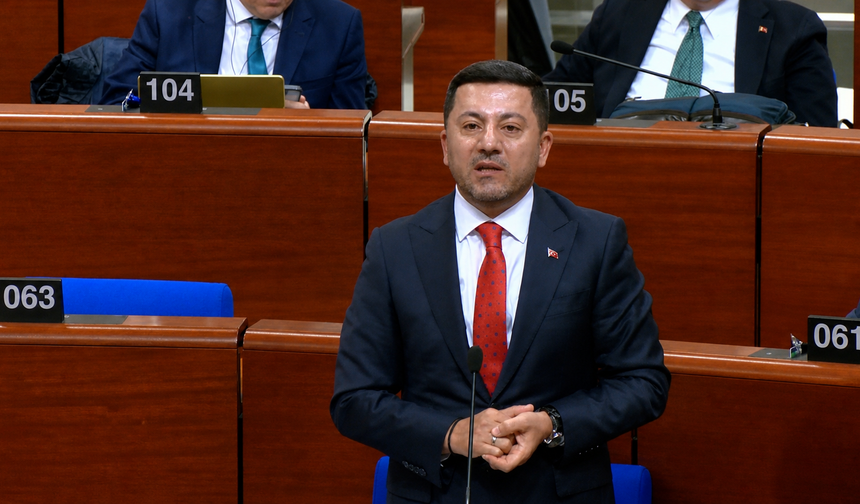 Rasim Arı: “Türkiye’nin Yerine Karar Verilemez”