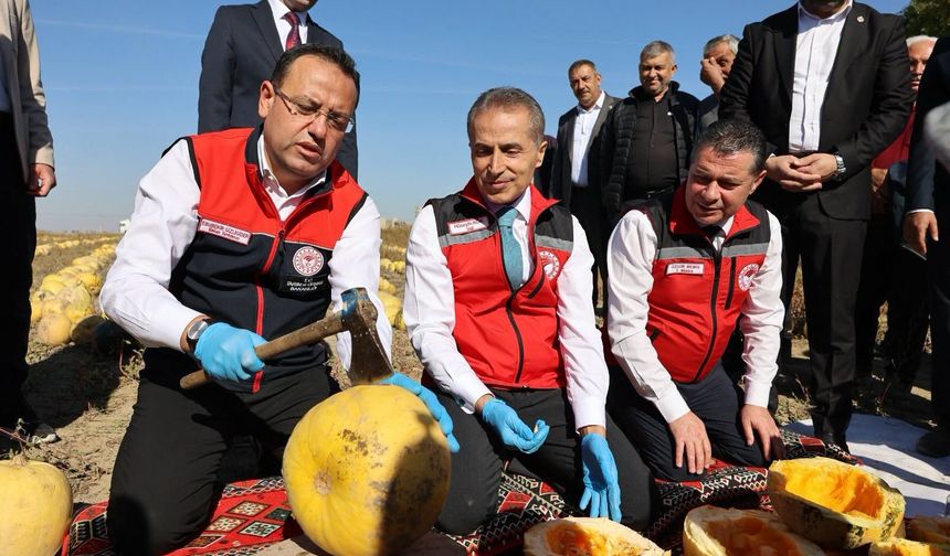 Nevşehir Kabak Çekirdeğinde Türkiye Zirvesinde!