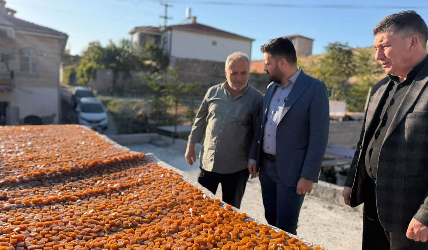 Aygün'den Karacaören ve Karain Çıkarması