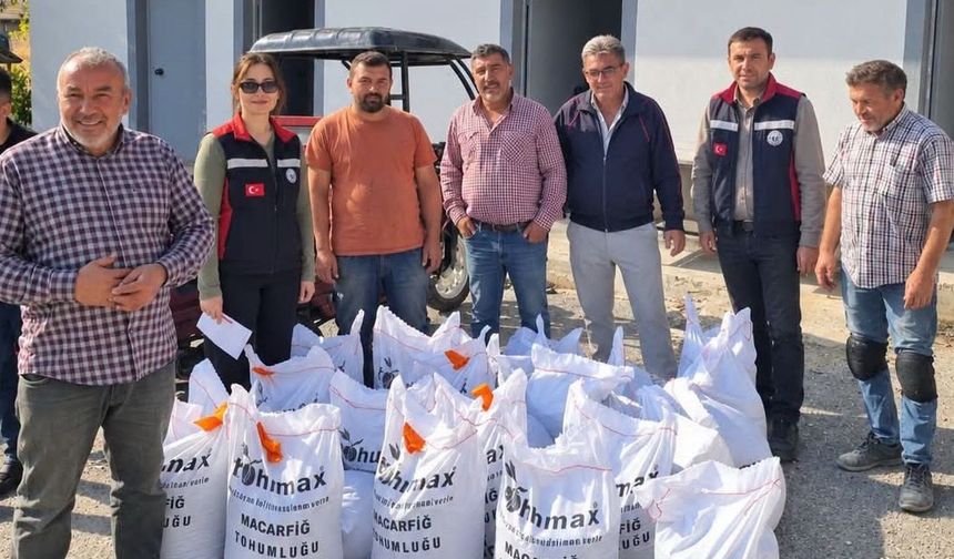 Abuuşağı ve Hacıhalilli’de çiftciye tohum desteği