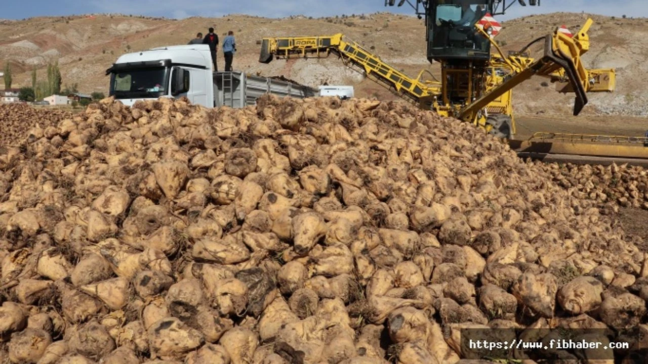 Nevsehir In Kozakli Ilcesinde Pancar Ureticileri Yolu Kapatti H154425 9479E