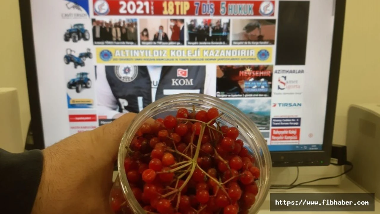 Nevsehir In Mucizevi Doktoru Gilaburu Suyu Faydalari Nelerdir H138536 F0883