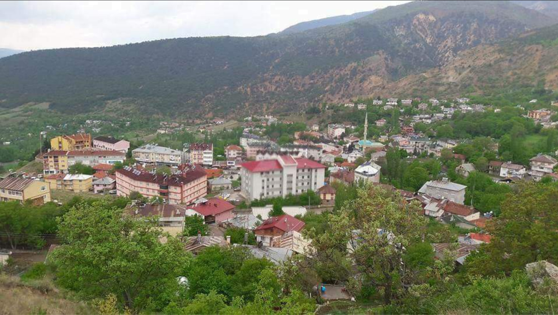 48378790 2087588024885303 1966497097695887360 N (1)