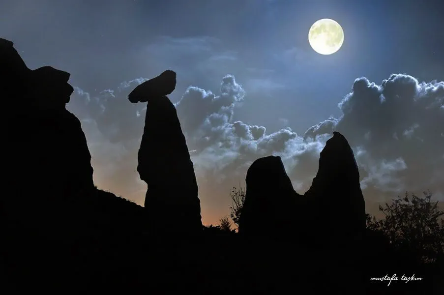 351295586 239933848762029 5937817651625466439 N-1