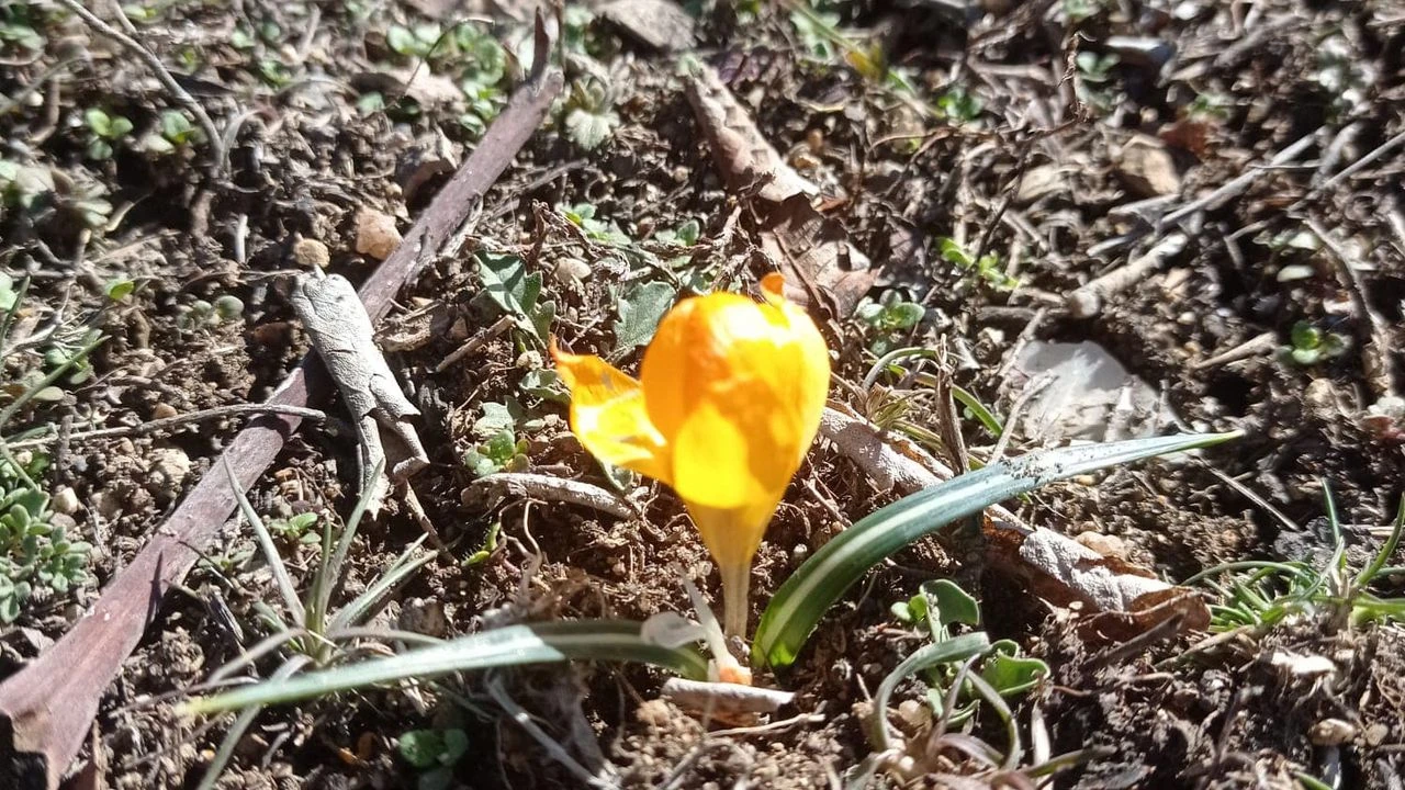 332637646 6229372970428144 3564487526639570193 N-1