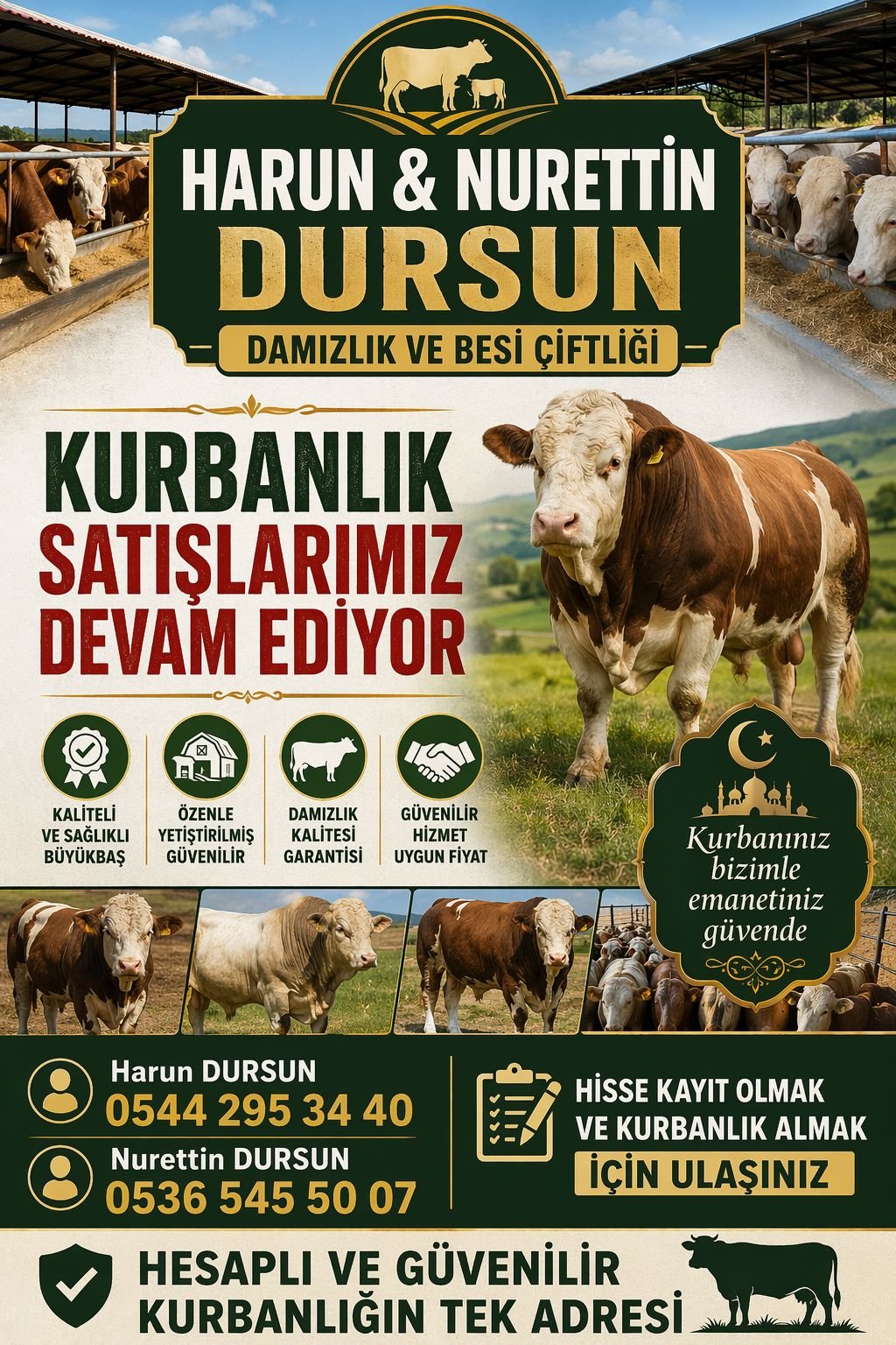 5Fed0D23 211A 4F96 B5B1 383Af44Caa65-1