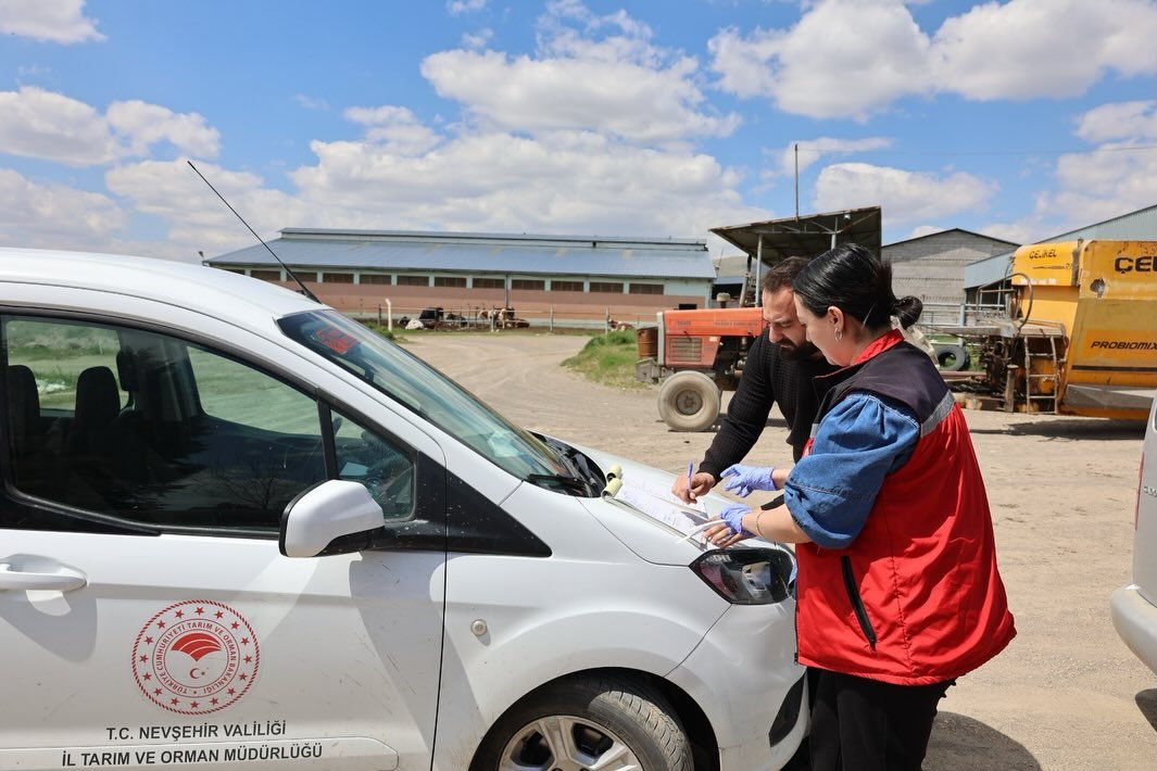 683092992 18188900434371746 5399975091092958446 N