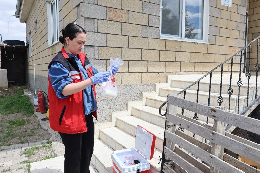 684217982 18188900452371746 7604204424169957938 N