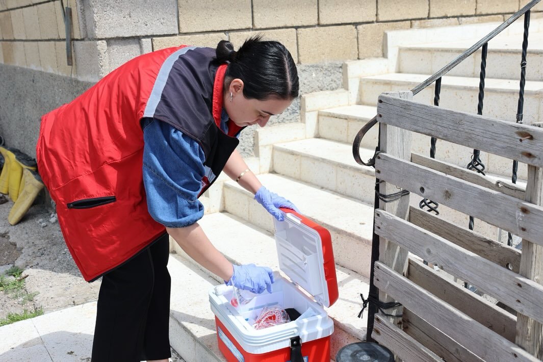 686024388 18188900443371746 6852342484739724855 N