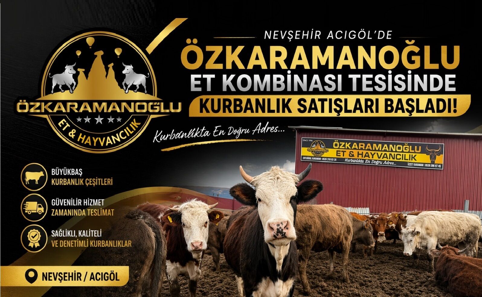 Nevşehir Acıgöl’de Öz Karaman Oğlu Et & Hayvancılık'ta Kurbanlık Satışları Başladı