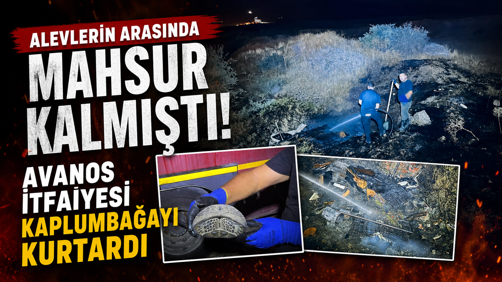 Avanos’ta Yangının Ortasından Hayat Kurtardılar: İtfaiyeden Kaplumbağaya Şefkat Eli